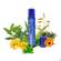 Sie sehen eine Packung Insektenschutz Para Kito Nach Stich Roll-on 5ml, Produktbild: 12 Insektenschutz Para Kito Nach Stich Roll-on 5ml, A-Nr.: 4835954 - 12