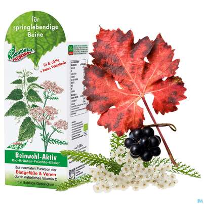 Sie sehen eine Packung Beinwohl Aktiv Kraeuterfit Elixier Bio Kraeuter Fruechte Alkoholfrei 330ml, Produktbild: 12 Beinwohl Aktiv Kraeuterfit Elixier Bio Kraeuter Fruechte Alkoholfrei 330ml, A-Nr.: 3961734 - 12