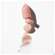 Boerlind Natural Lip Glow Transparent 60391 4,2g, A-Nr.: 5974600 - 04