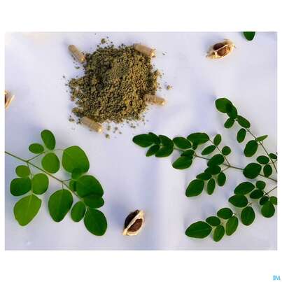 Moringa Powder Capsules 60 Stk., A-Nr.: 4583412 - 02