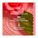 Seifen Roger &amp; Gallet Wellbeing/soap/box Heritage Rose The 100g, A-Nr.: 5733492 - 03
