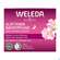 Weleda Wildrose/+weisser Tee Glaettende Nachtpflege 40ml, A-Nr.: 5838179 - 01