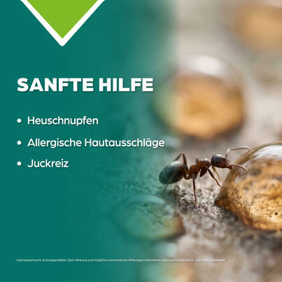 Sie sehen eine Packung Apozema® Nr. 02 Allergie-Tropfen, Produktbild: 03 Apozema® Nr. 02 Allergie-Tropfen, A-Nr.: 0988023 - 03