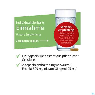 Ingwer Kapseln Extrakt Dr.wolz Nr 60547 120st, A-Nr.: 4297741 - 05