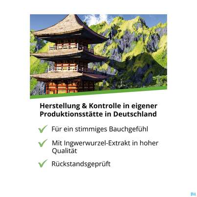 Ingwer Kapseln Extrakt Dr.wolz Nr 60547 120st, A-Nr.: 4297741 - 08