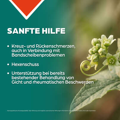 Sie sehen eine Packung Apozema® Nr. 06 Bandscheiben- und Gelenk-Tropfen, Produktbild: 03 Apozema® Nr. 06 Bandscheiben- und Gelenk-Tropfen, A-Nr.: 0987963 - 03