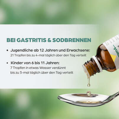 Sie sehen eine Packung Apozema® Nr. 16 Gastritis-Tropfen, Produktbild: 05 Apozema® Nr. 16 Gastritis-Tropfen, A-Nr.: 0988000 - 05