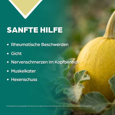 Apozema® Nr. 24 Nervenschmerzen-Tropfen, A-Nr.: 0987897 - 03