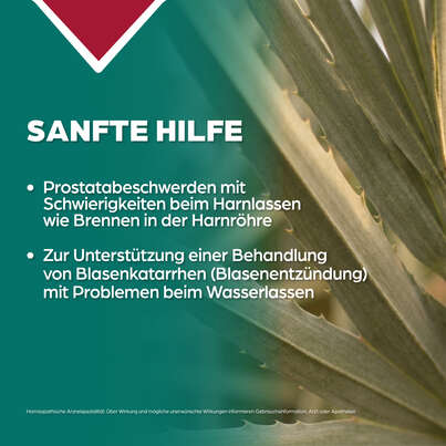 Sie sehen eine Packung Apozema® Nr. 25 Prostata-Tropfen, Produktbild: 03 Apozema® Nr. 25 Prostata-Tropfen, A-Nr.: 0987727 - 03
