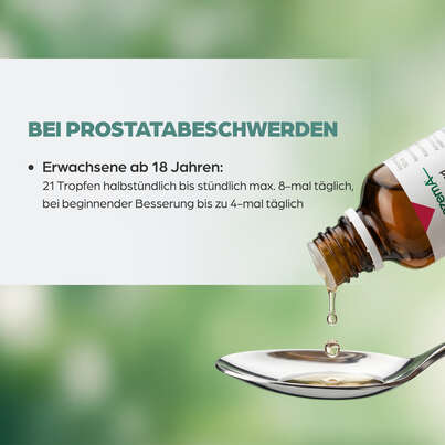Sie sehen eine Packung Apozema® Nr. 25 Prostata-Tropfen, Produktbild: 05 Apozema® Nr. 25 Prostata-Tropfen, A-Nr.: 0987727 - 05