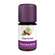 Aetherische Oele Taoasis Bio Zypresse 5ml, A-Nr.: 3167120 - 01