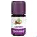 Aetherische Oele Taoasis Bio Zypresse 5ml, A-Nr.: 3167120 - 02