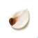 Sie sehen eine Packung Dr. Hauschka Rosen Tagescreme 30ml, Produktbild: 10 Dr. Hauschka Rosen Tagescreme 30ml, A-Nr.: 2051504 - 10
