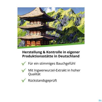 Ingwer Kapseln Extrakt Dr.wolz Nr 60547 120st, A-Nr.: 4297741 - 10