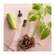 Aetherische Oele Primavera Angelikawurzel Bio 1ml, A-Nr.: 2582762 - 04