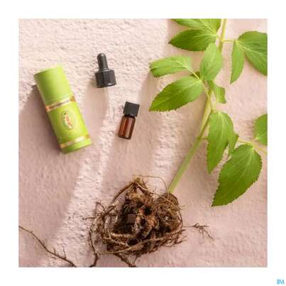 Aetherische Oele Primavera Angelikawurzel Bio 1ml, A-Nr.: 2582762 - 04