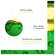 Furterer Triphasic Progressive Kur 8 X 5,5ml, A-Nr.: 5439522 - 08
