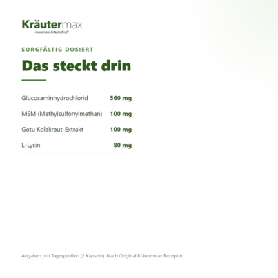 Glucosamin+ vegan Kapseln 60 Stück, A-Nr.: 6129924 - 03