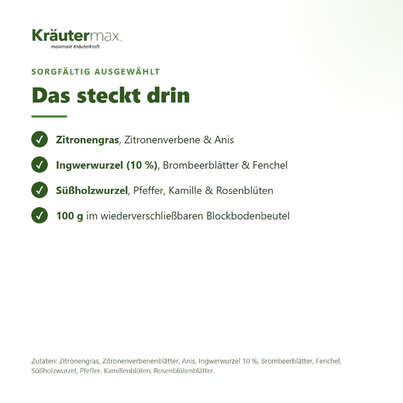 Sie sehen eine Packung Ingwertraum Tee 100 g, Produktbild: 03 Ingwertraum Tee 100 g, A-Nr.: 6017504 - 03