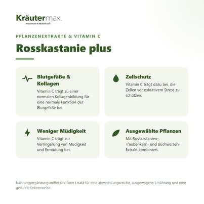 Rosskastanien plus Kapseln 50 Stück, A-Nr.: 5208403 - 02