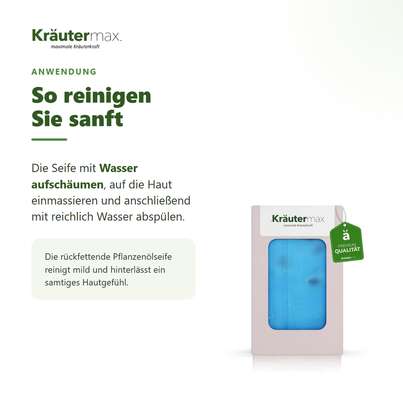 Sie sehen eine Packung Lavendel Seife 100 g, Produktbild: 04 Lavendel Seife 100 g, A-Nr.: 4319342 - 04