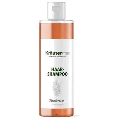 Sie sehen eine Packung Zinnkraut Shampoo 250 ml, Produktbild: 01 Zinnkraut Shampoo 250 ml, A-Nr.: 4609318 - 01