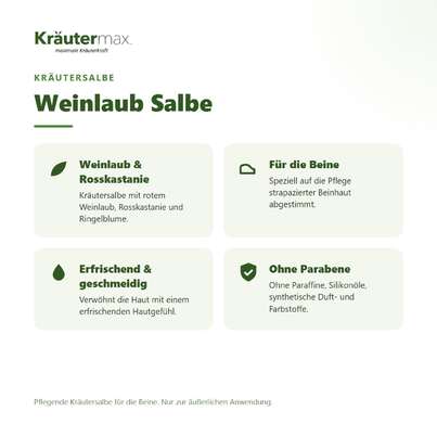 Sie sehen eine Packung Weinlaub Salbe 100 ml, Produktbild: 02 Weinlaub Salbe 100 ml, A-Nr.: 4319750 - 02