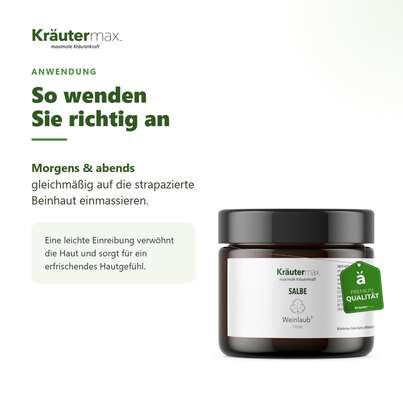 Sie sehen eine Packung Weinlaub Salbe 100 ml, Produktbild: 04 Weinlaub Salbe 100 ml, A-Nr.: 4319750 - 04