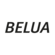 WELLVET804DE WellionVet BELUA Blutzucker &amp; Ketone Messgerät Set, A-Nr.: 4393232 - 02