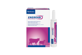 Energan Pansenstarter für Kälber, Rinder, Schafe, Ziegen, A-Nr.: 4345061 - 01
