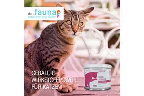 Good Aging 24 CAT, A-Nr.: 5807138 - 01