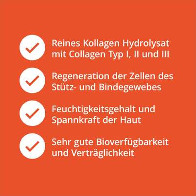 Casida Collagen Pulver – Kollagen Hydrolysat, A-Nr.: 5081687 - 03
