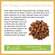 Bio Chaga Pulver 145g, A-Nr.: 4546931 - 04