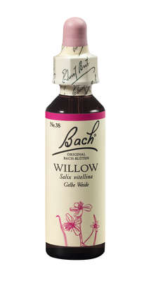 Bach®-Blüte Nr. 38 Willow (Gelbe Weide), A-Nr.: 5323446 - 01