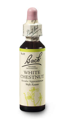 Bach®-Blüte Nr. 35 White Chestnut (Weiße Kastanie), A-Nr.: 5323400 - 02