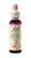 Bach®-Blüte Nr. 30 Sweet Chestnut (Esskastanie), A-Nr.: 5323340 - 01