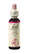 Bach®-Blüte Nr. 22 Oak (Eiche), A-Nr.: 5323009 - 01