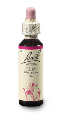 Bach®-Blüte Nr. 11 Elm (Ulme), A-Nr.: 5322895 - 02