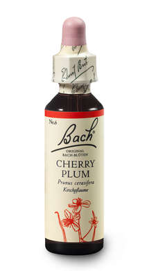 Bach®-Blüte Nr. 6 Cherry Plum (Kirschpflaume), A-Nr.: 5322837 - 02