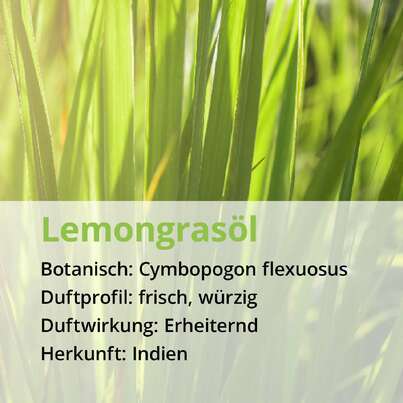 Lemongrasöl, A-Nr.: 5178493 - 02