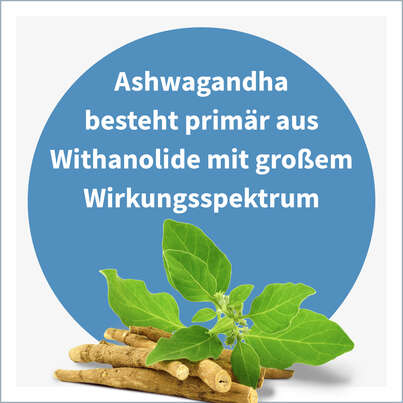 NatuGena Ashwagandha Kapseln, A-Nr.: 5699080 - 03