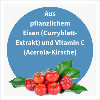 NatuGena Eisen Vegan Kapseln, A-Nr.: 5178228 - 04