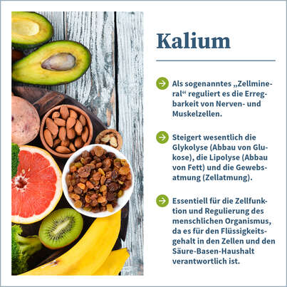 NatuGena Kalium Kapseln, A-Nr.: 5404274 - 02