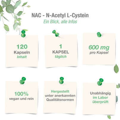 Vitabay NAC (N-ACETHYL L-CYSTEIN) 600 mg Kapseln, A-Nr.: 5878150 - 04