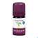 Aetherische Oele Taoasis Bio Ylang Ylang 5ml, A-Nr.: 3166681 - 03