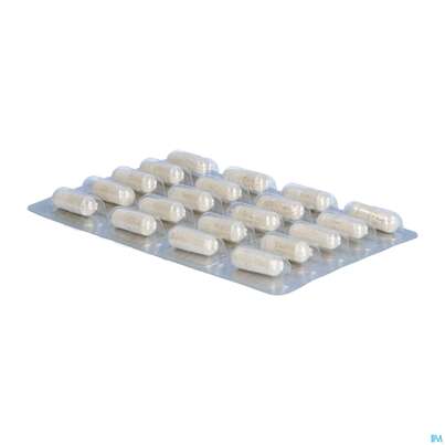 Jod Calcium Kapseln Dr.wolz Nr.60622 60st, A-Nr.: 1785687 - 08