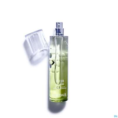 Caudalie Eau Fraiche Fleur De Vigne 50ml, A-Nr.: 3832971 - 03