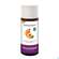Taoasis Aprikosenkern Basisöl Bio|demeter 50ml, A-Nr.: 3162192 - 03