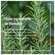 Weleda Rosmarin Aktivierungsbad 200ml, A-Nr.: 5034469 - 10